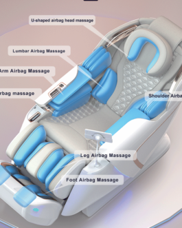 Full Body Massage Chair Premium Series RH1100